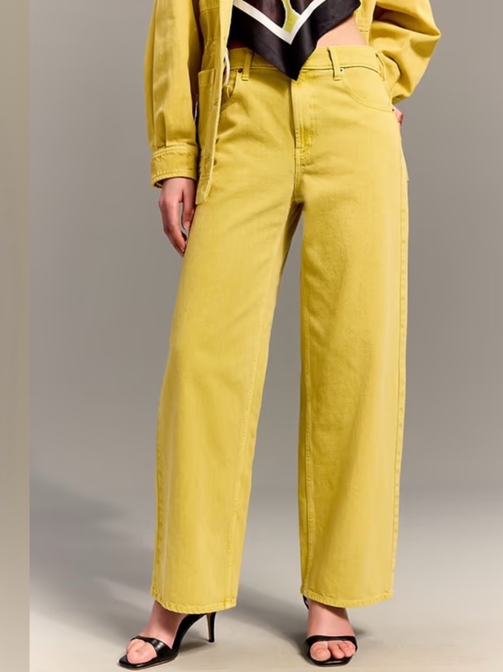 NWT! Old Navy x Christopher John Rogers Mid-Rise Baggy Wide-Leg Jeans 🚏